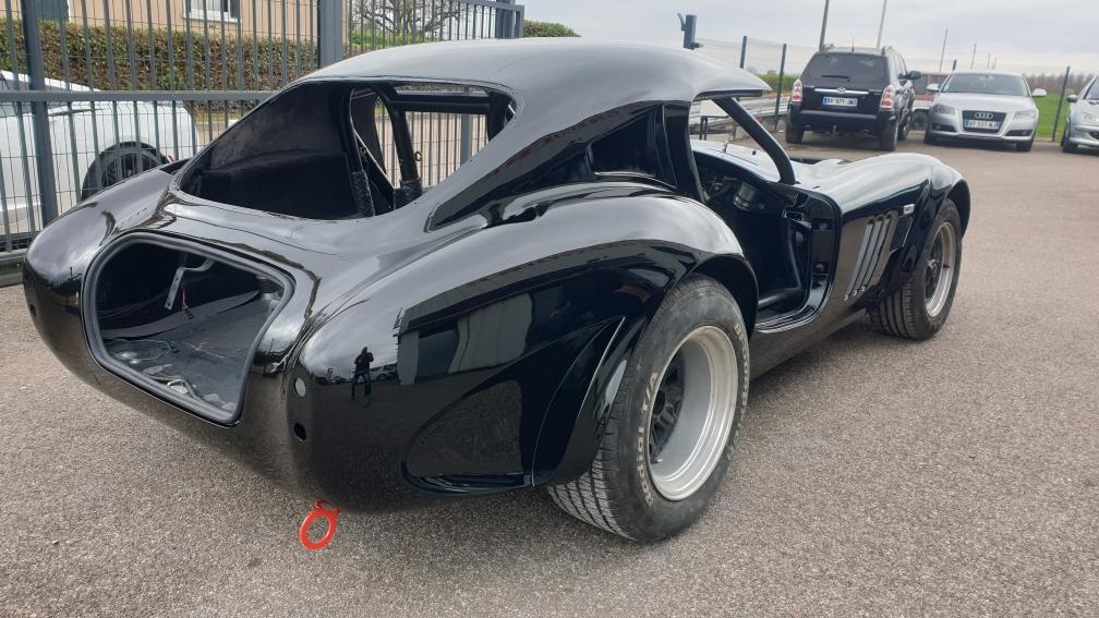 Cobra peinture